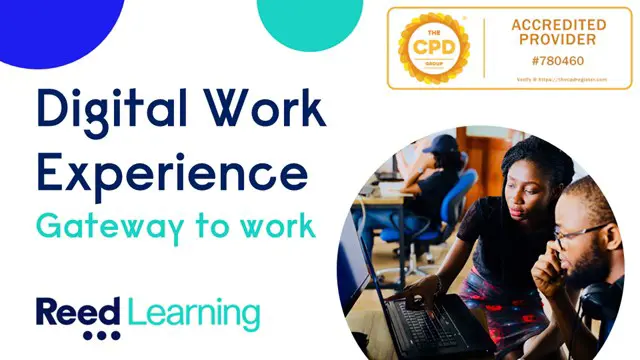 Digital Work Experience